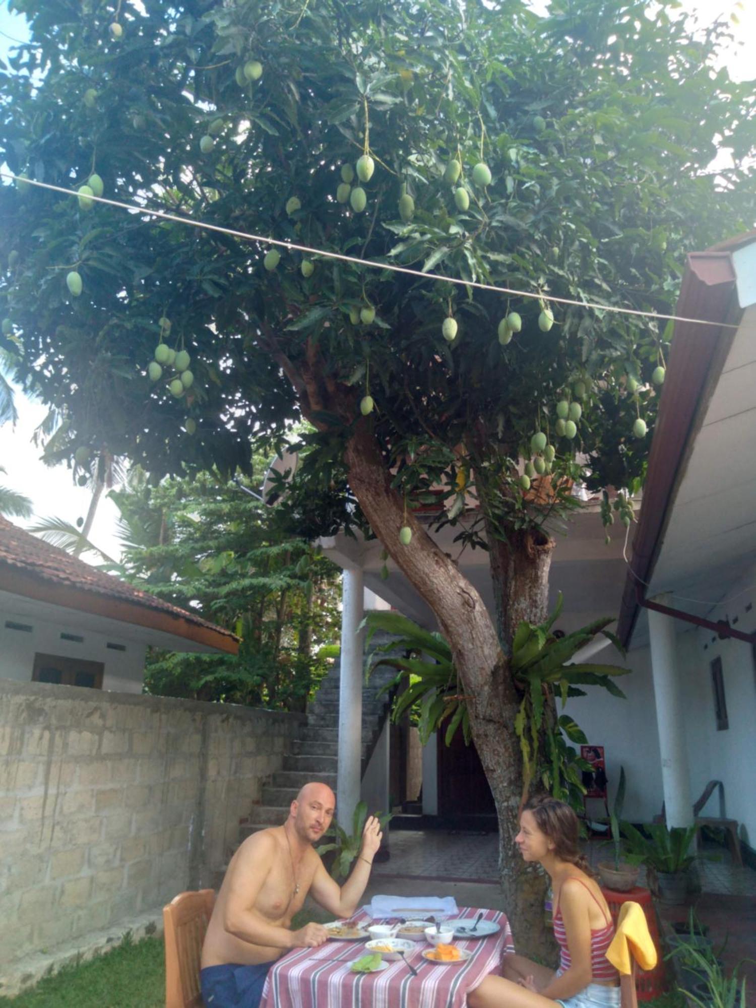 Sanithu Homestay And Villa ガル エクステリア 写真